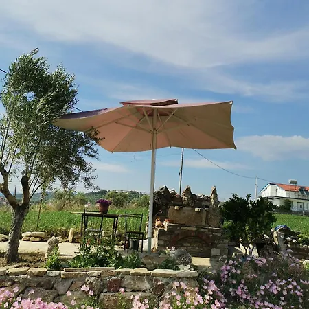 Hotel Bora